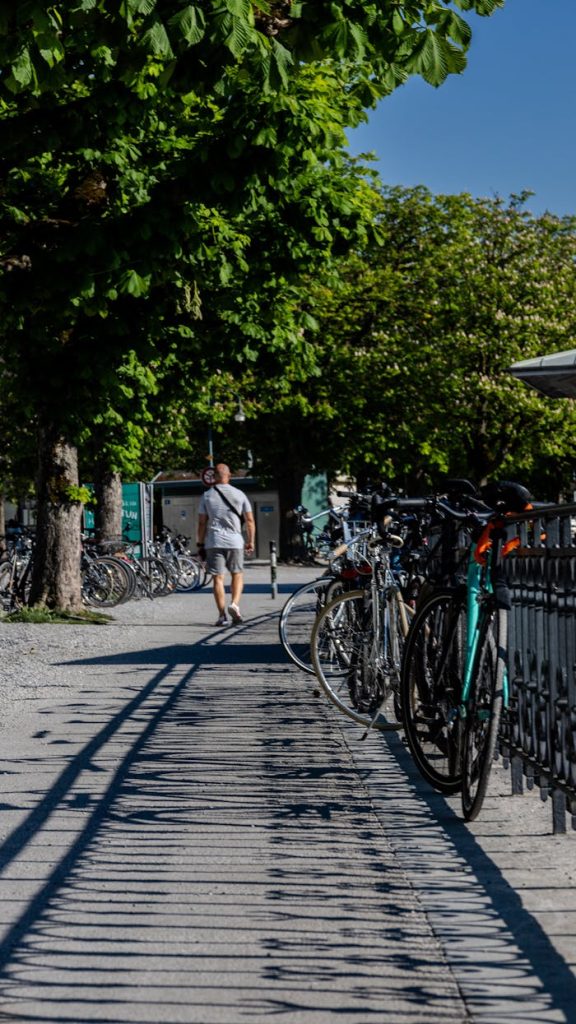 Man walking along a sunlit path lined with parked bicycles and trees.
